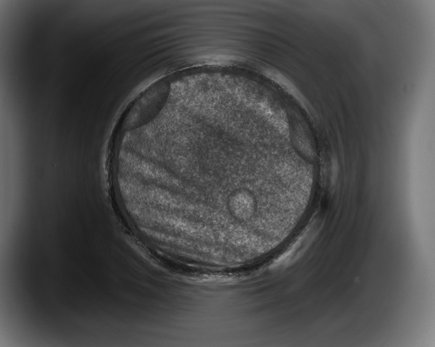 X0000087521026200705251635