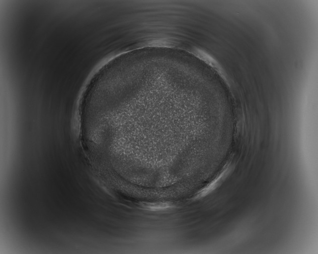 X0000087521027200705251635