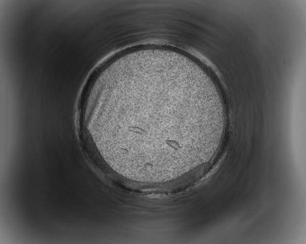 X0000087521029200705251635