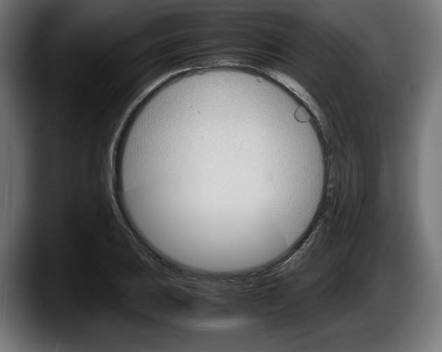 X0000087521031200705251635