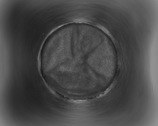 X0000087521032200705251635