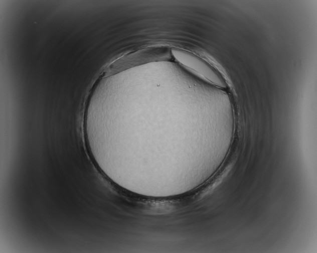 X0000087521041200705251635