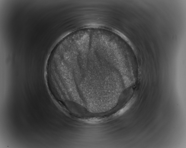 X0000087521042200705251635