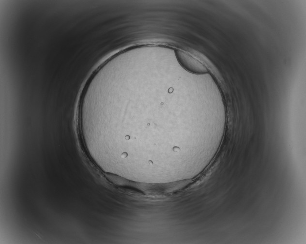 X0000087521044200705251635