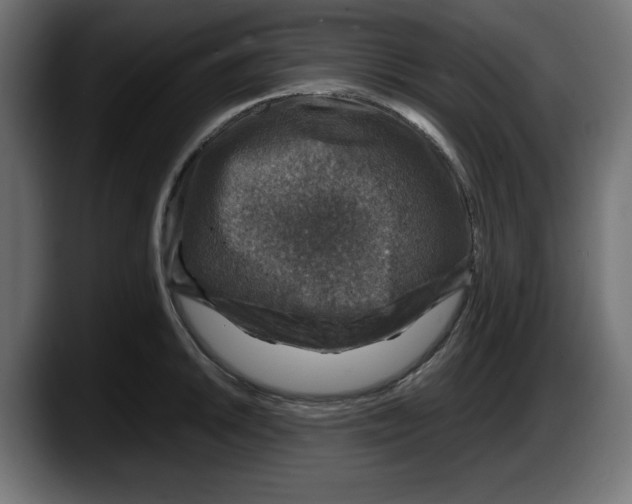 X0000087521046200705251635