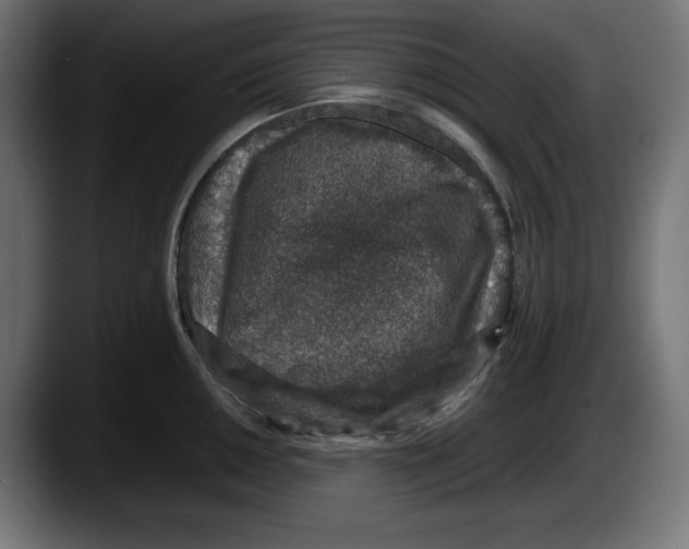 X0000087521050200705251635