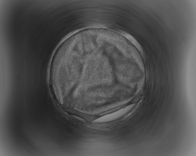 X0000087521052200705251635