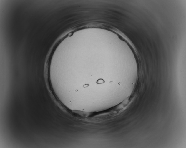 X0000087521053200705251635