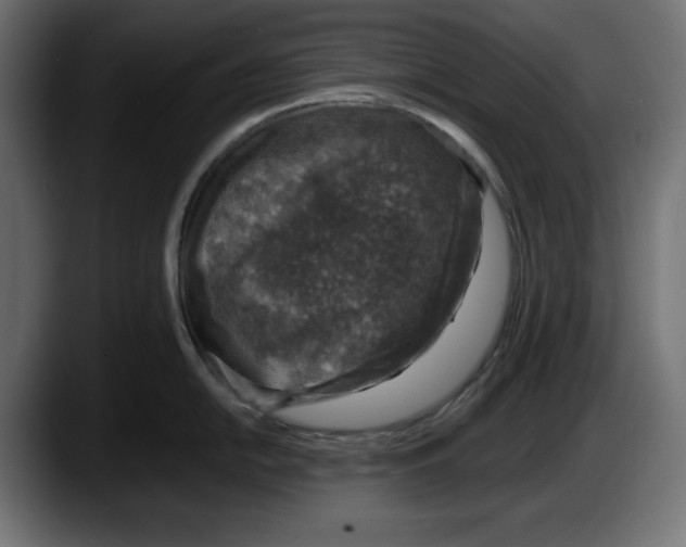 X0000087521054200705251635