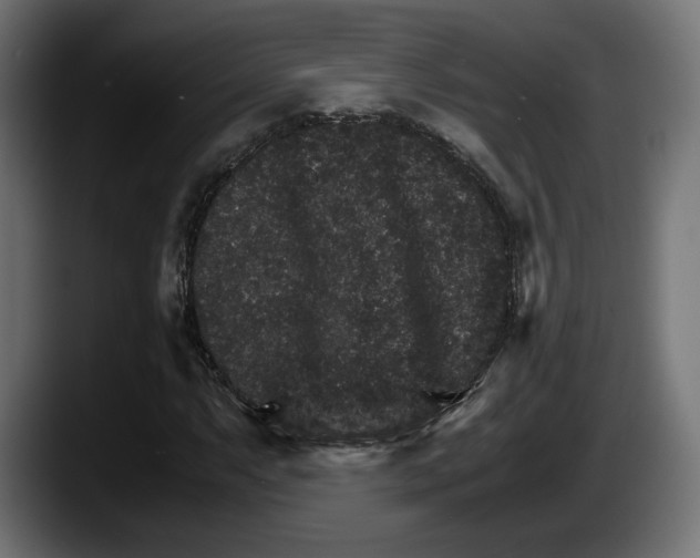 X0000087521063200705251635