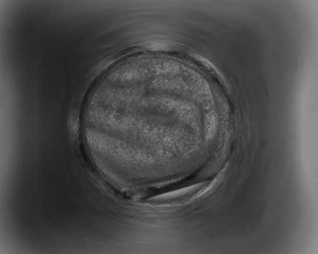 X0000087521065200705251635