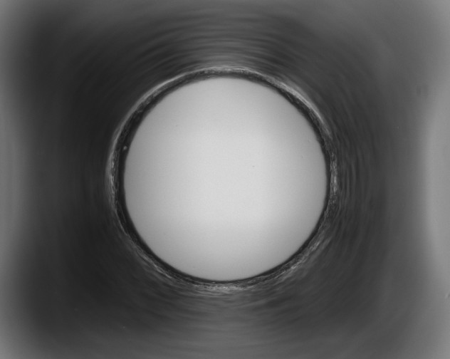 X0000087521068200705251635