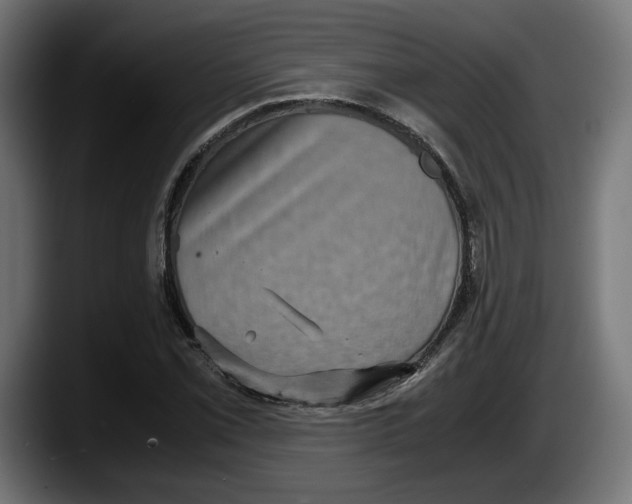 X0000087521069200705251635