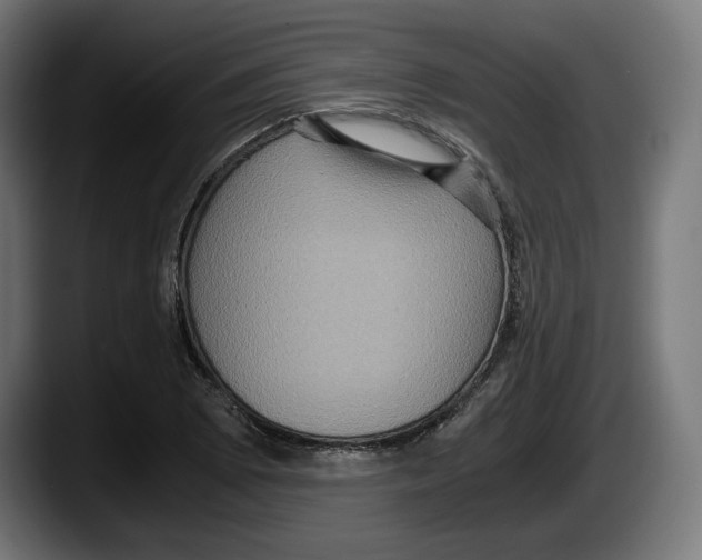 X0000087521073200705251635