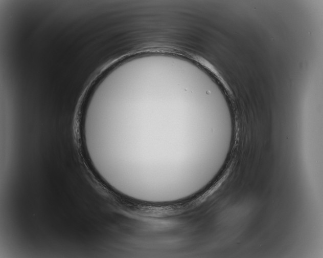 X0000087521074200705251634