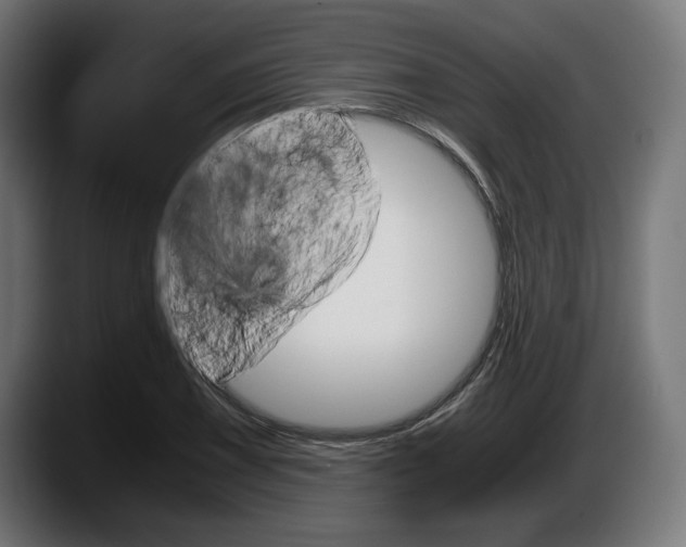 X0000087521075200705251634