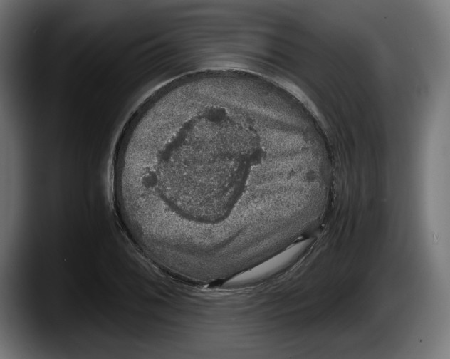 X0000087521076200705251634