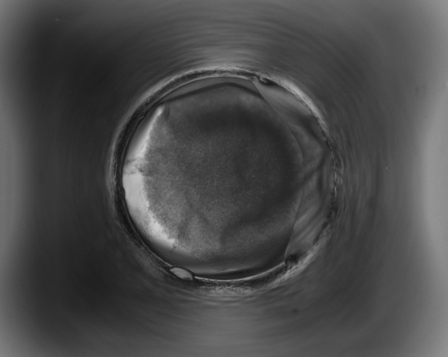 X0000087521077200705251634