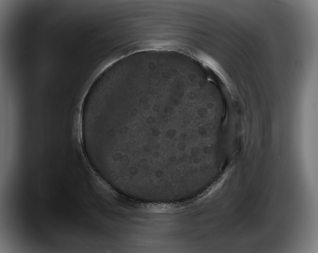 X0000087521079200705251634