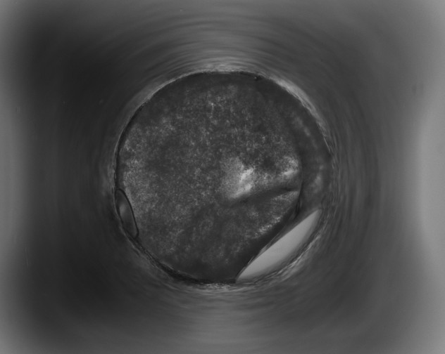 X0000087521081200705251634