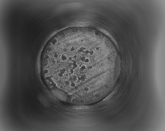 X0000087521083200705251634