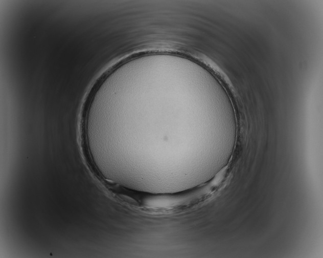 X0000087521085200705251634