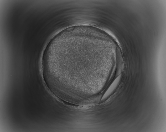 X0000087521088200705251634