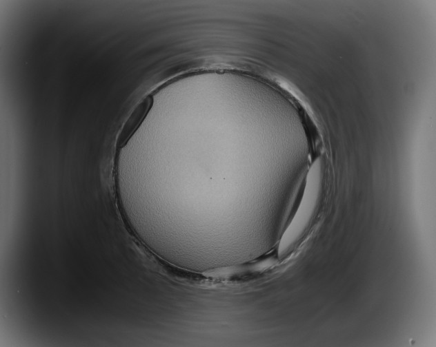 X0000087521089200705251634