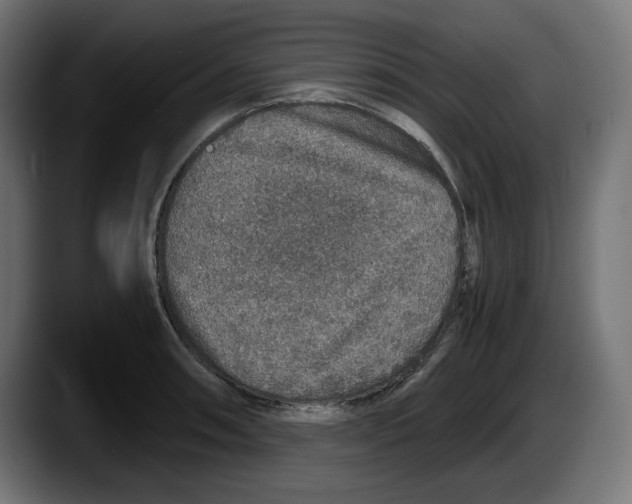 X0000087521090200705251634