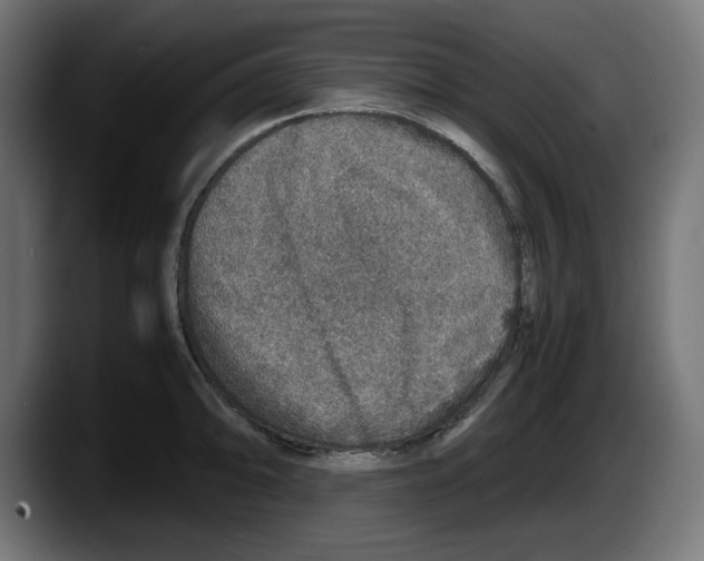 X0000087521094200705251634