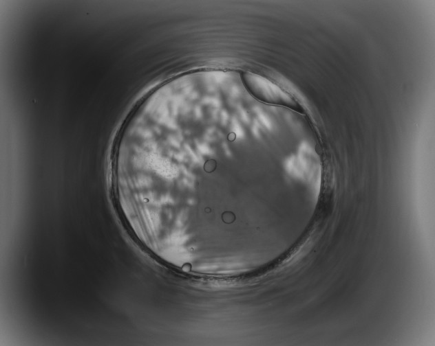 X0000087521095200705251634