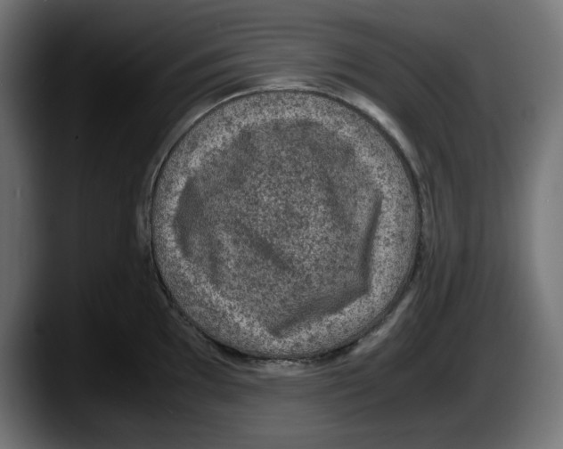 X0000087521097200705251634