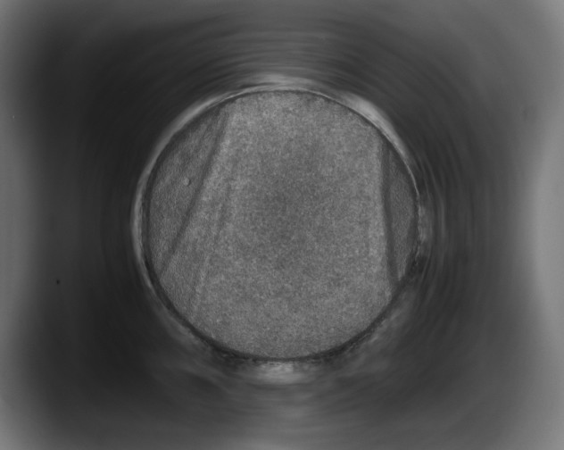 X0000087521098200705251634