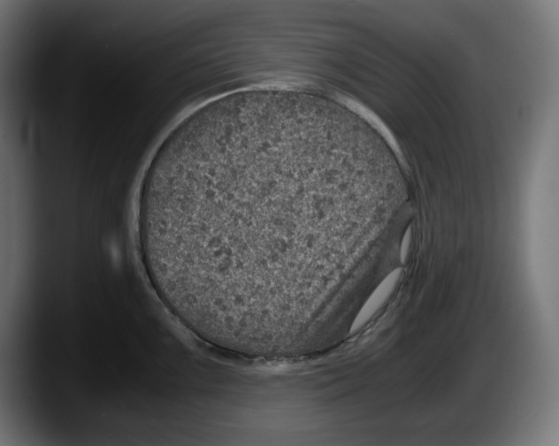 X0000087521099200705251634