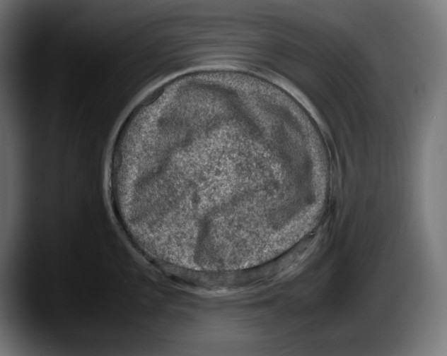 X0000087521101200705251634