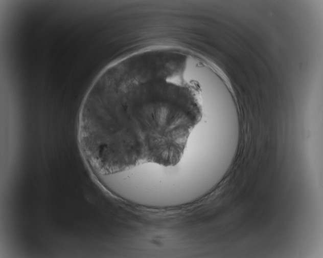 X0000087521103200705251634