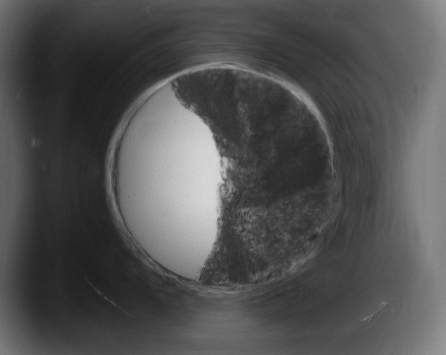 X0000087521104200705251634