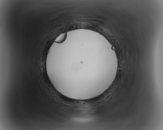 X0000087521109200705251634