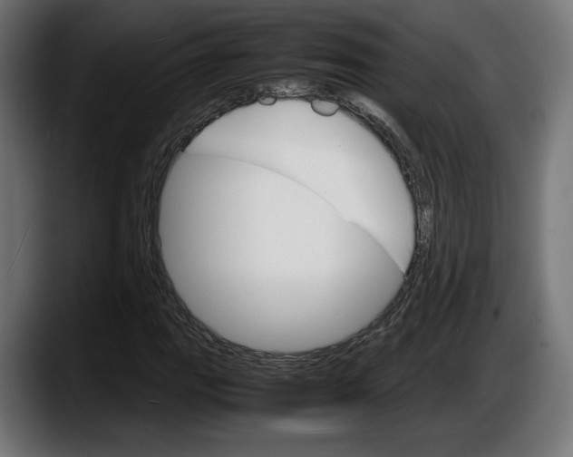 X0000087521111200705251634