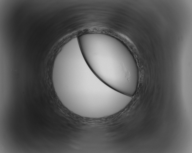 X0000087521112200705251634