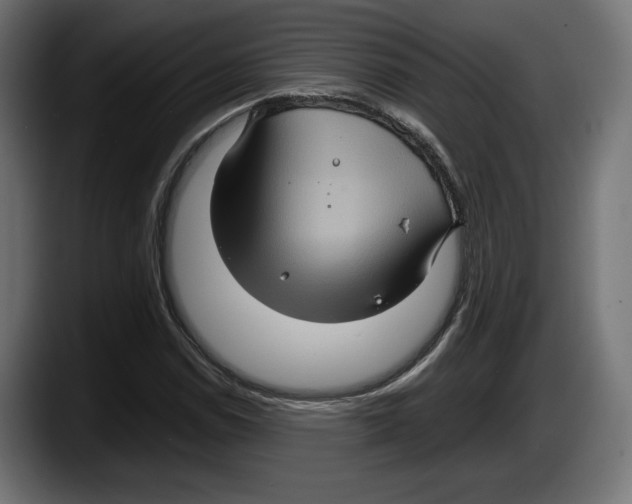 X0000087521114200705251634