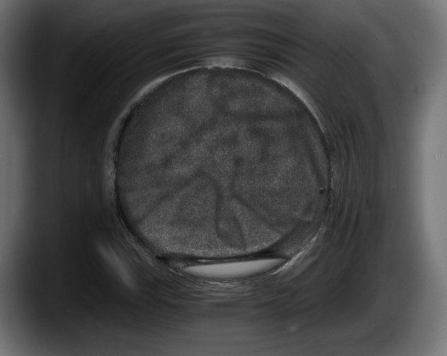 X0000087521115200705251634