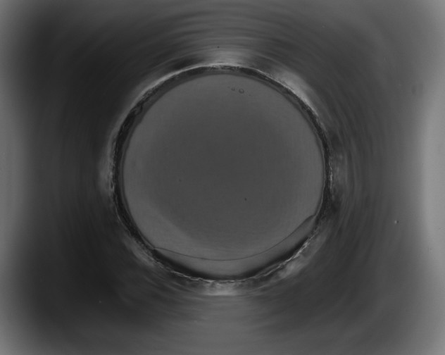 X0000087521116200705251634