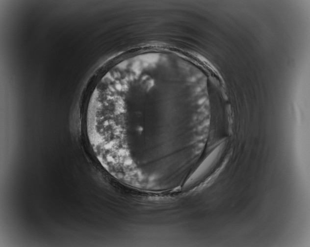 X0000087521117200705251634