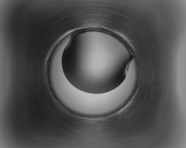 X0000087521118200705251634