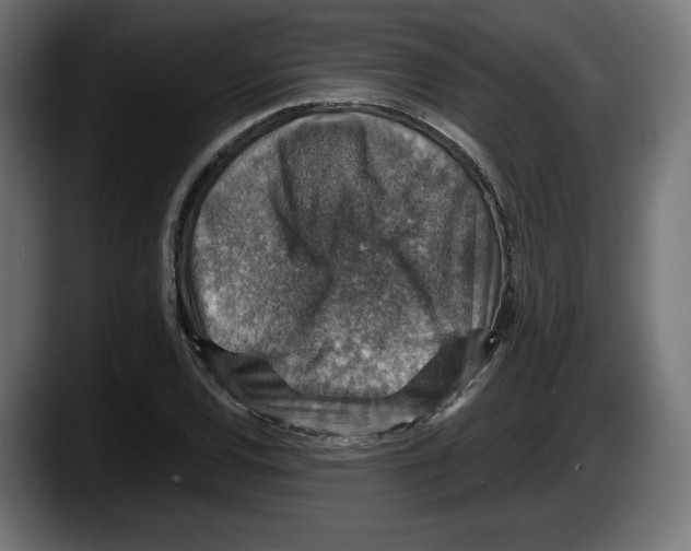 X0000087521120200705251634