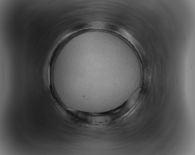 X0000087521123200705251634