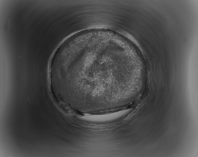 X0000087521124200705251634