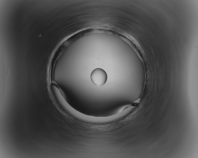 X0000087521128200705251634