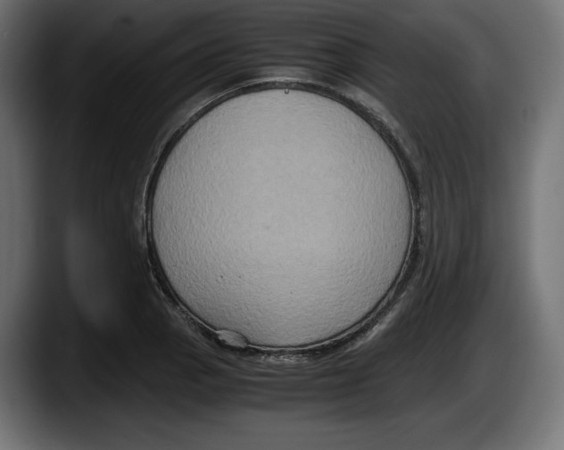 X0000087521129200705251634